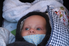 thumb_IMG_1862_1024