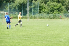 P1100246
